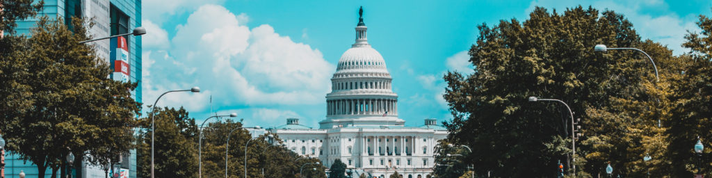 Wide photograph of the U.S. Capitol building in Washington D.C., framed by trees and street lamps under a bright blue sky with white clouds.