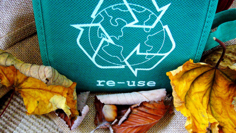 Teal canvas with white recycling symbol and text 're-use' surrounded by autumn leaves on natural fabric