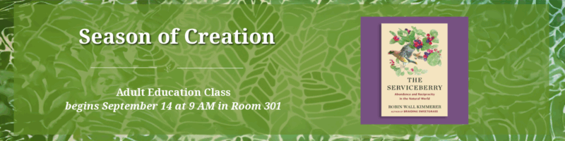 Adult Education Class 'Season of Creation' banner with green botanical background, held August 13 at 8 AM in Room 301.