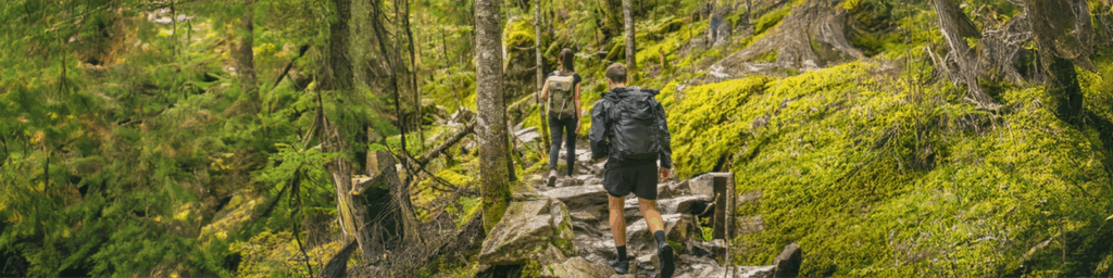 Outdoor hiking trail with person hiking through lush green forest and moss-covered ground