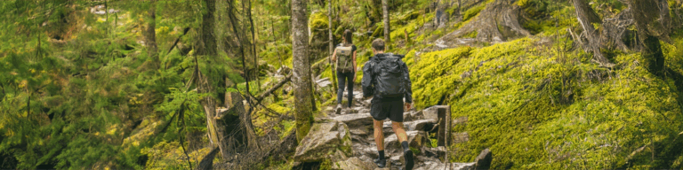 Outdoor hiking trail with person hiking through lush green forest and moss-covered ground