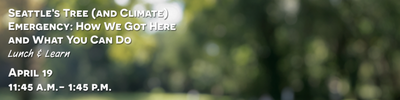 Banner for the Lunch & Learn 'Seattle's Tree (and Climate) Emergency: How We Got Here and What You Can Do' on April 19, 11:45 A.M. – 1:45 P.M., over a blurred green park background