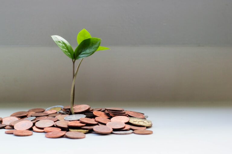 A green seedling sprouting from a pile of coins, symbolizing financial stewardship and growth