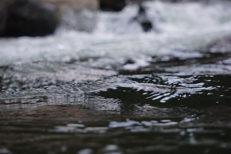 A serene close-up view of rippling water in a natural stream with flowing movements and gentle waves.