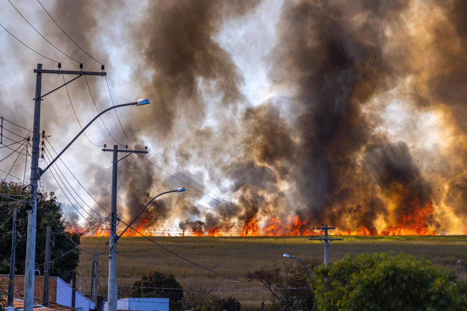 It’s Too Darn Hot: Three Discussions on Climate Matters