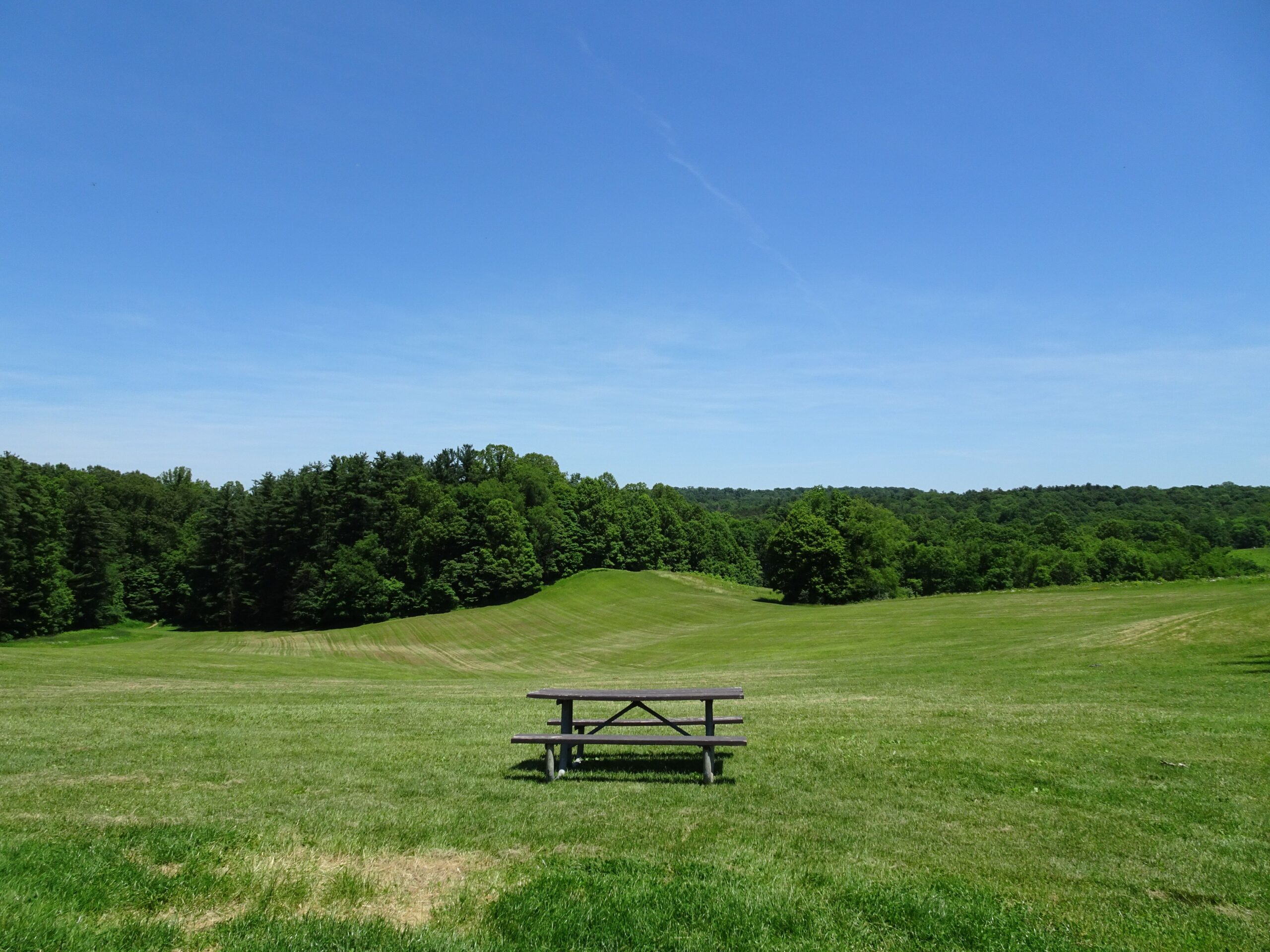 August Picnic
